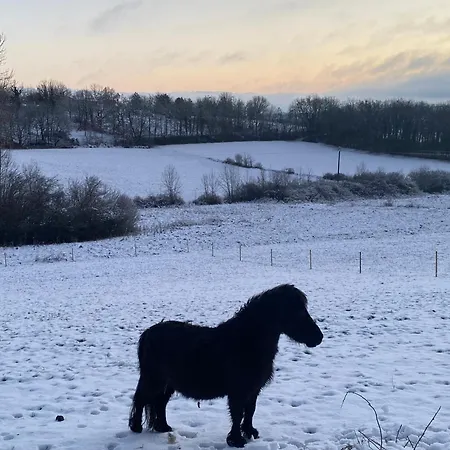 Atypique 12 Personnes Dans Le Lot *