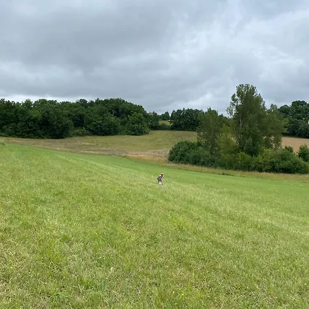 Atypique 12 Personnes Dans Le Lot * Montdoumerc