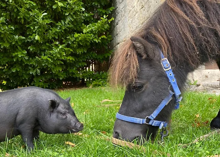 Hébergement de vacances Atypique 12 Personnes Dans Le Lot